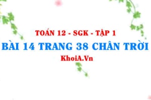 Bài 14 trang 38 Toán 12 Tập 1 Chân trời sáng tạo